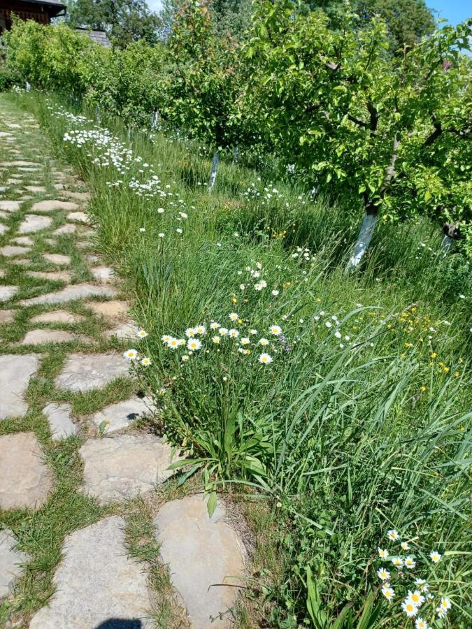Pensiunea Agroturistica Casa Jucan Poieni Dış mekan fotoğraf